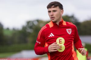 Mark Harris Removed Amid Controversy in Northern Premier League
